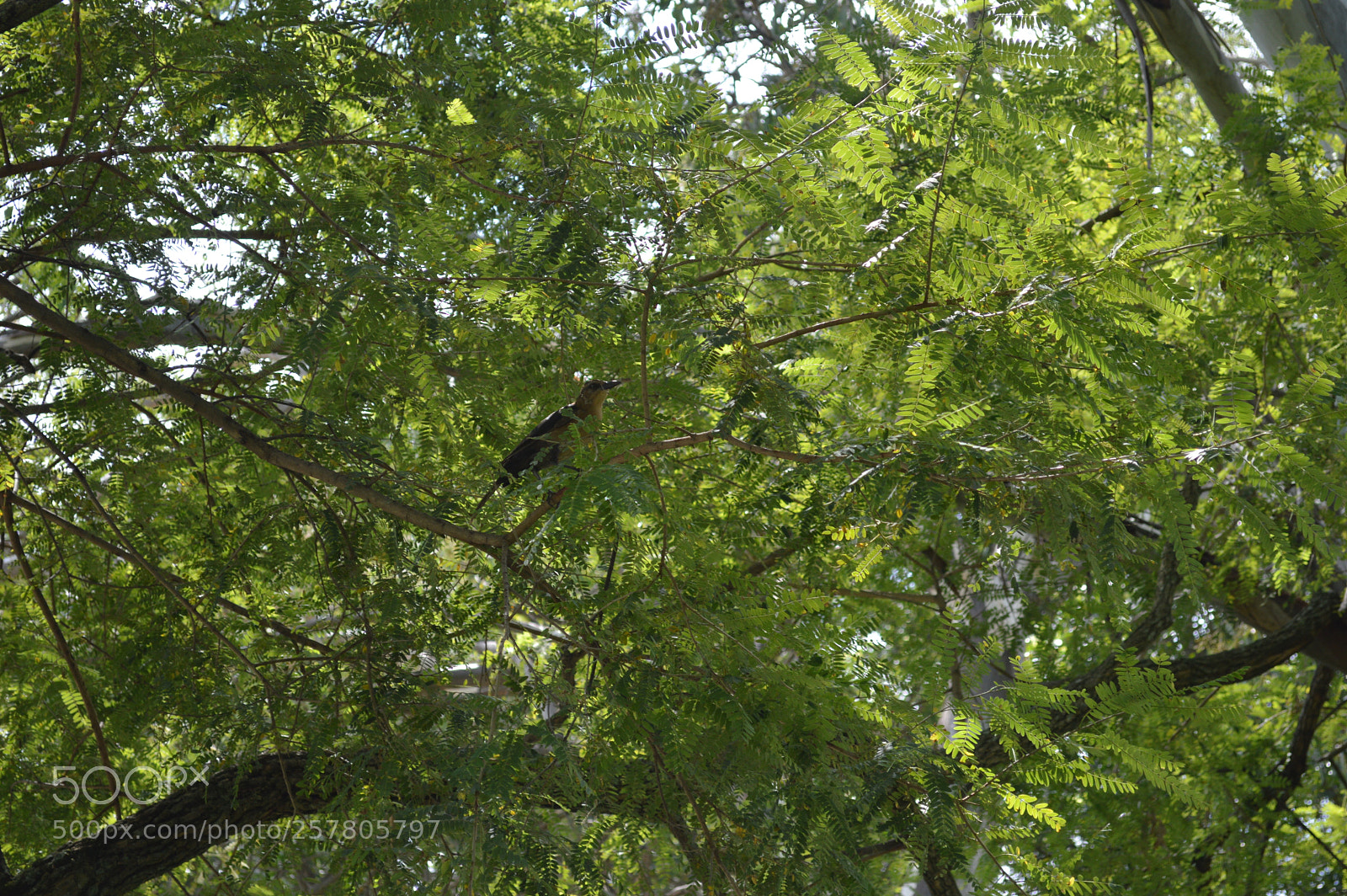 Nikon D3200 sample photo. El pequeño detalle photography