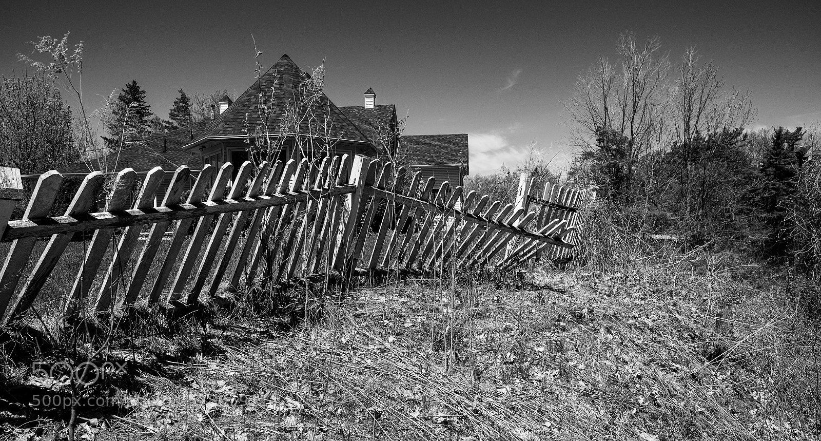 Fujifilm X-Pro2 sample photo. Fence photography
