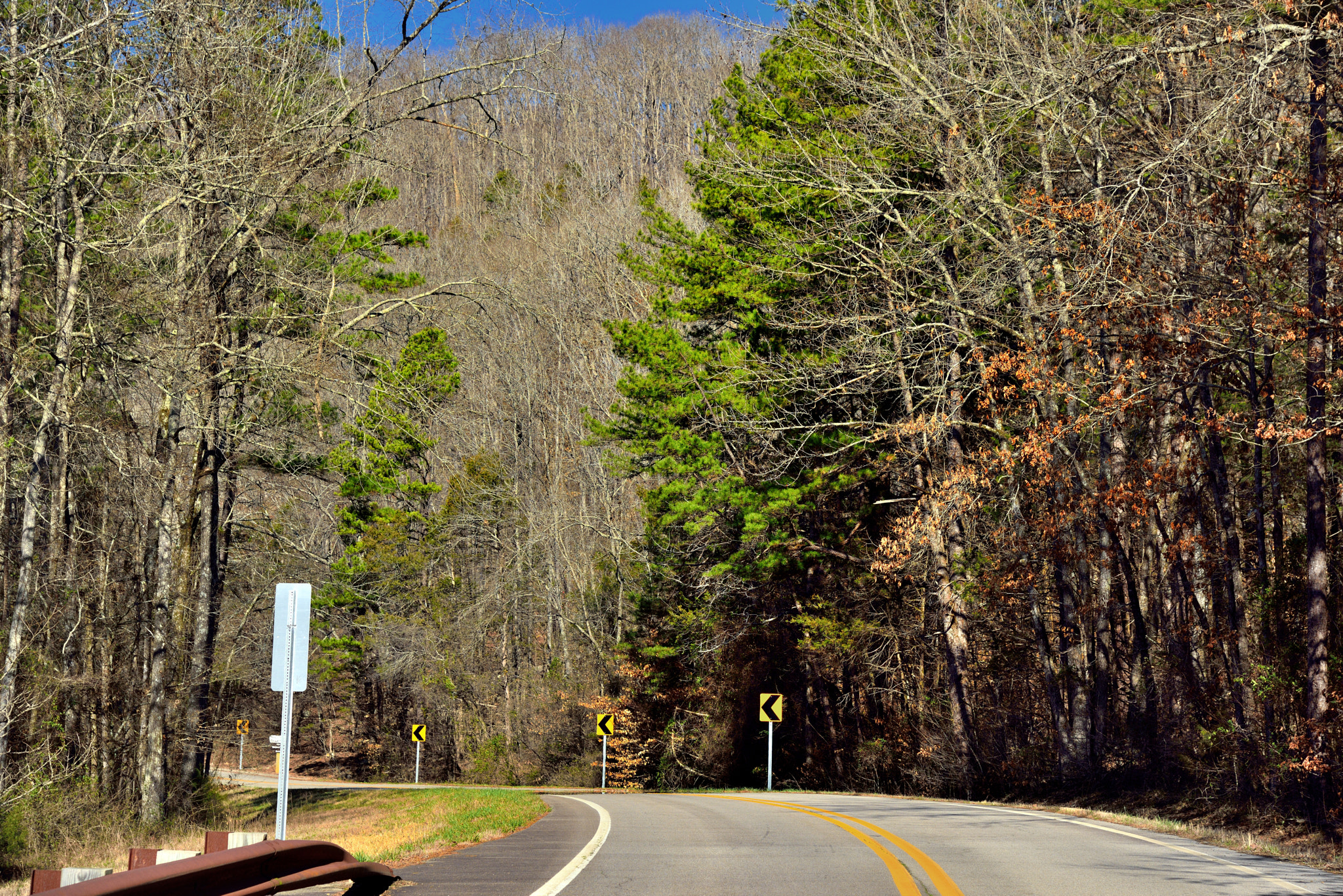 Nikon D800E + Nikon AF-S Nikkor 24-120mm F4G ED VR sample photo. A scenic drive (or walk) amongst the trees in the ozark national forest photography