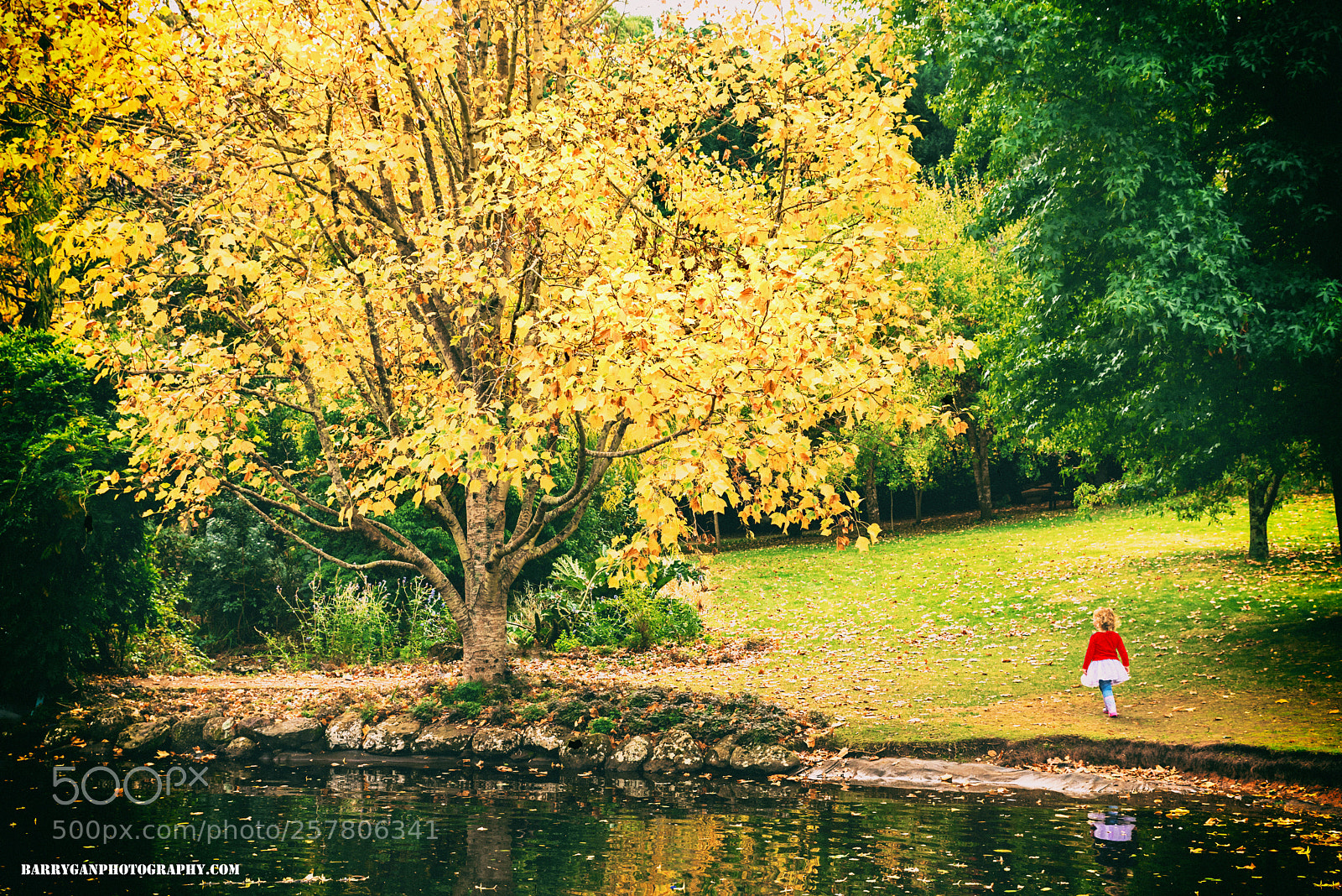 Nikon D750 sample photo. Untitled photography