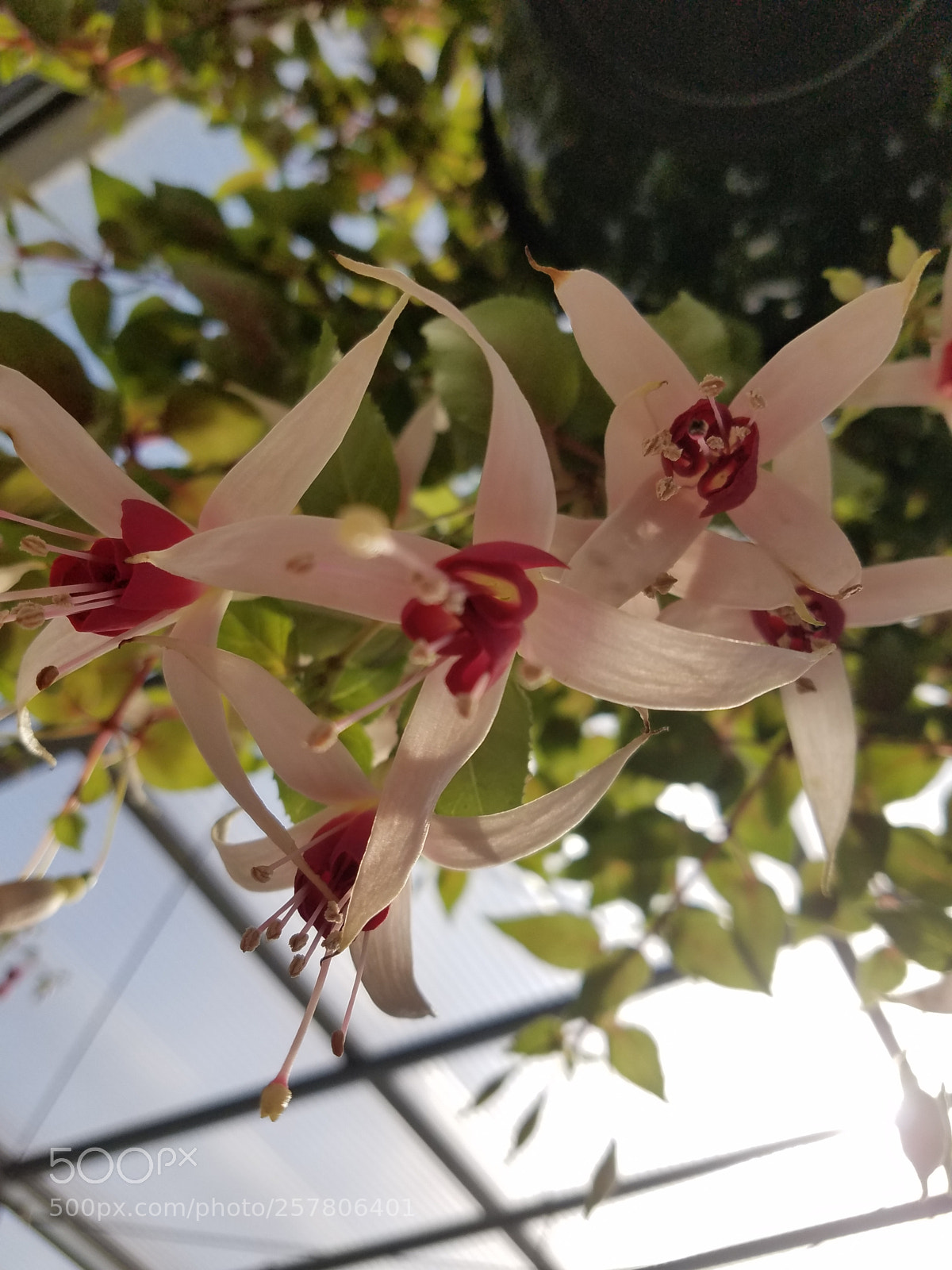 Samsung Galaxy S7 sample photo. Untitled photography