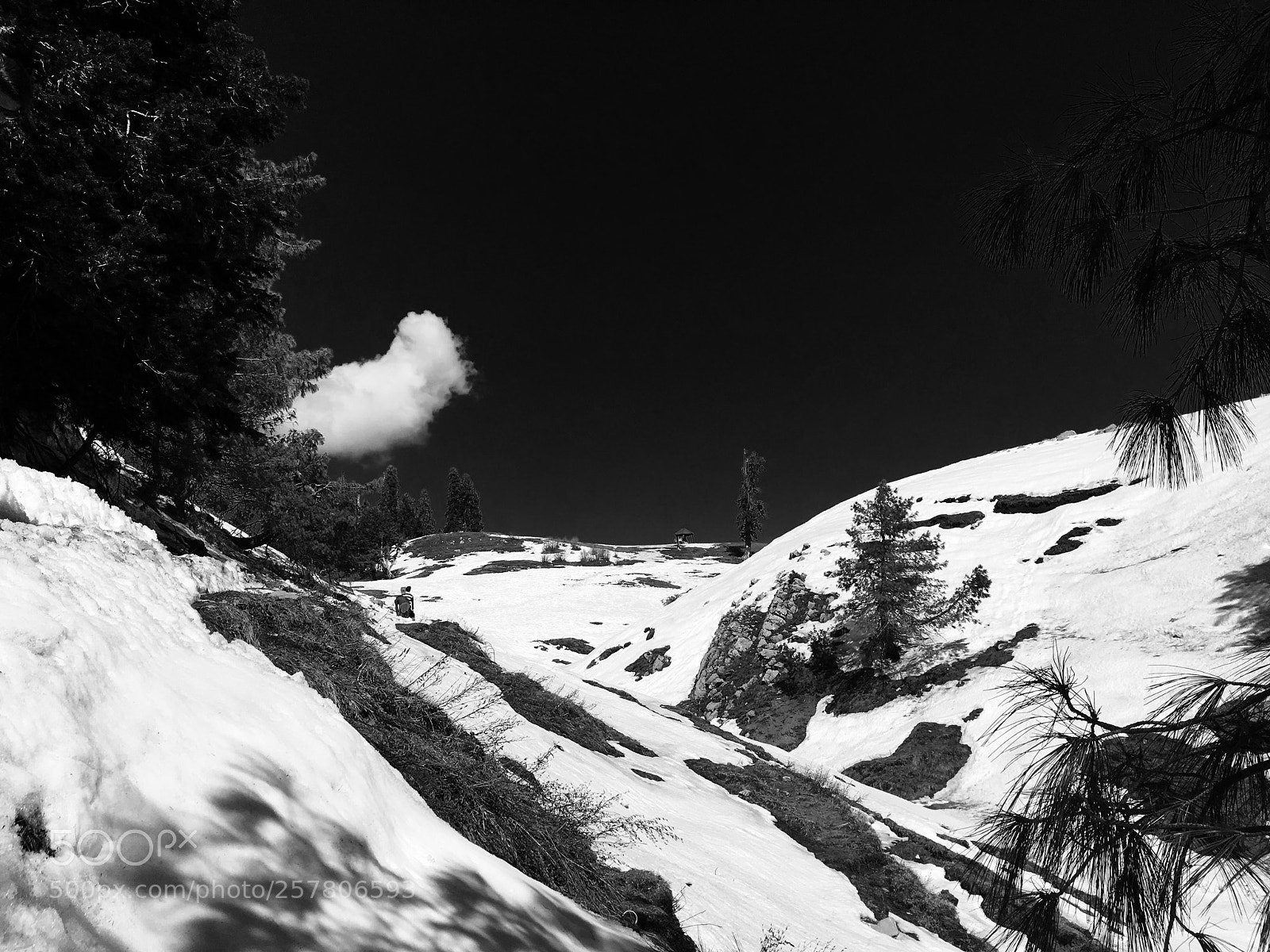 Apple iPhone 6s Plus sample photo. Black & white ghost photography