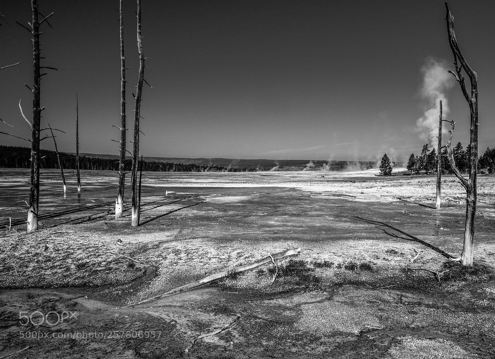 Canon EOS 70D sample photo. Lower geysir basin of photography