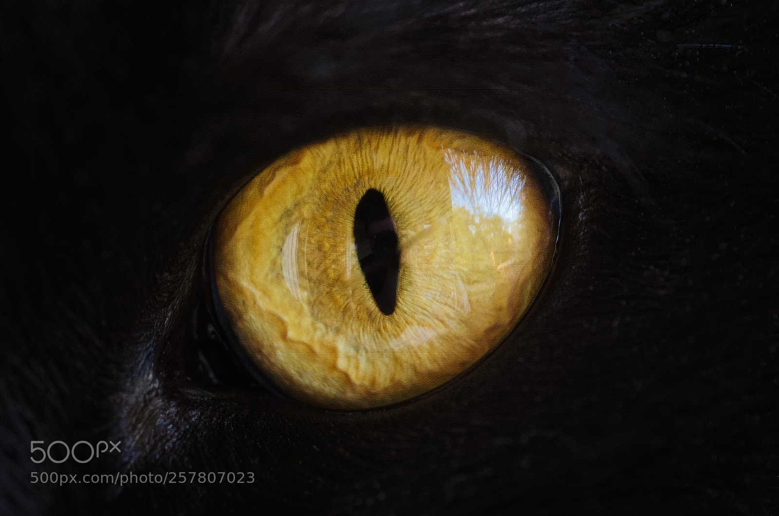 Nikon D7000 sample photo. Sauron's blessing photography