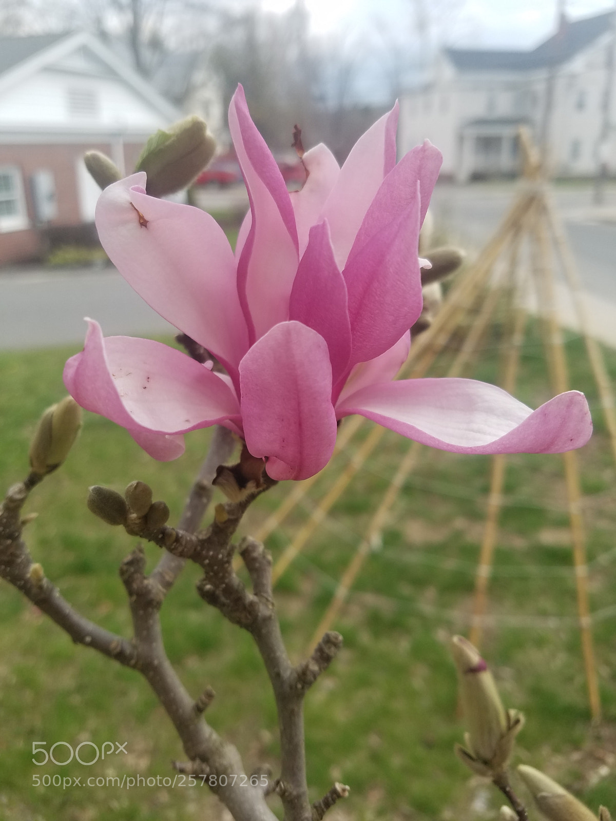 Samsung Galaxy S7 sample photo. Untitled photography