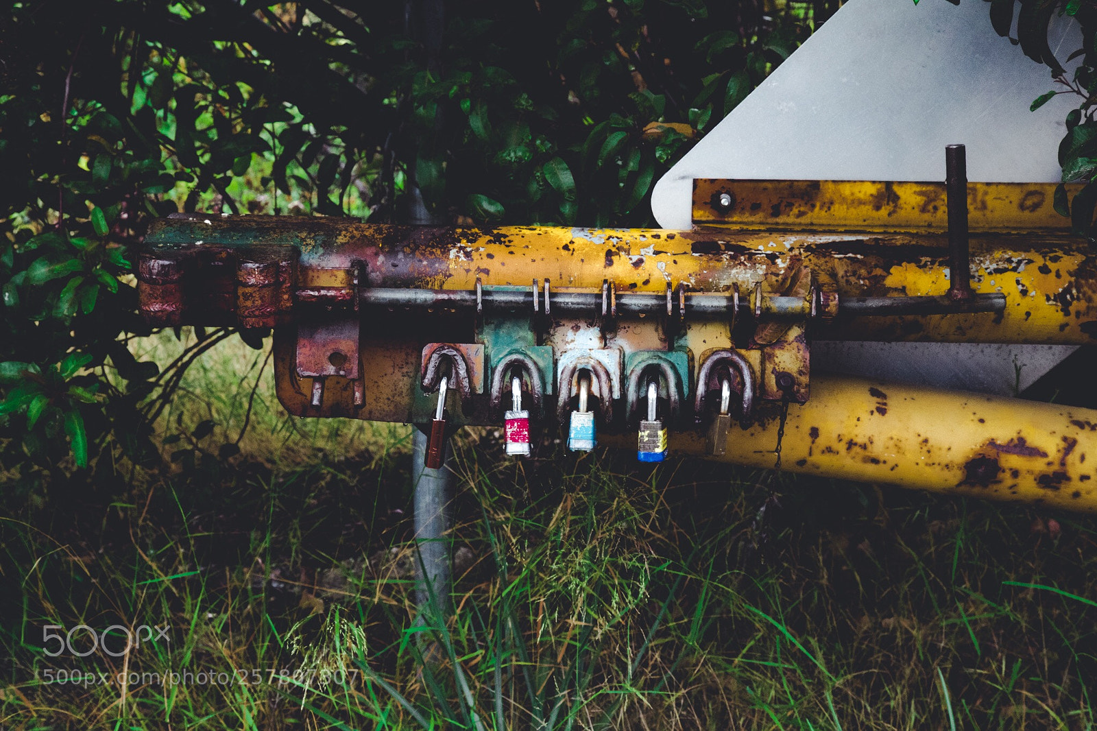 Canon EOS-1D X Mark II sample photo. Got locks? photography