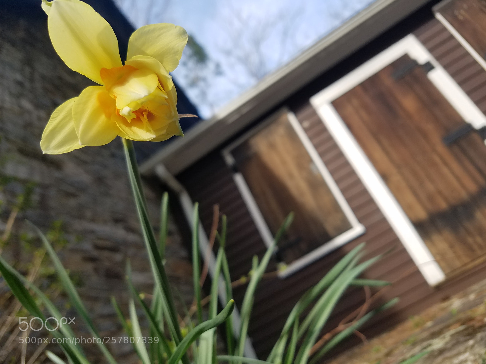 Samsung Galaxy S7 sample photo. Untitled photography