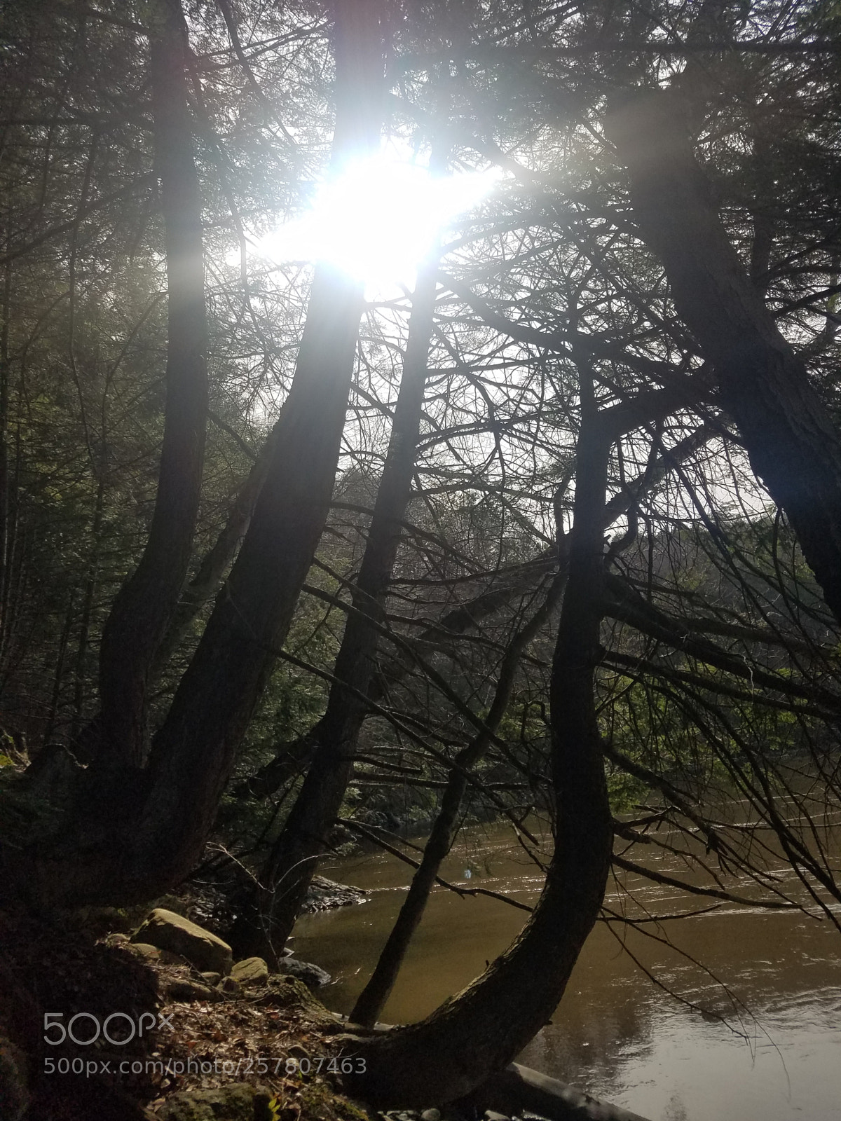 Samsung Galaxy S7 sample photo. Untitled photography