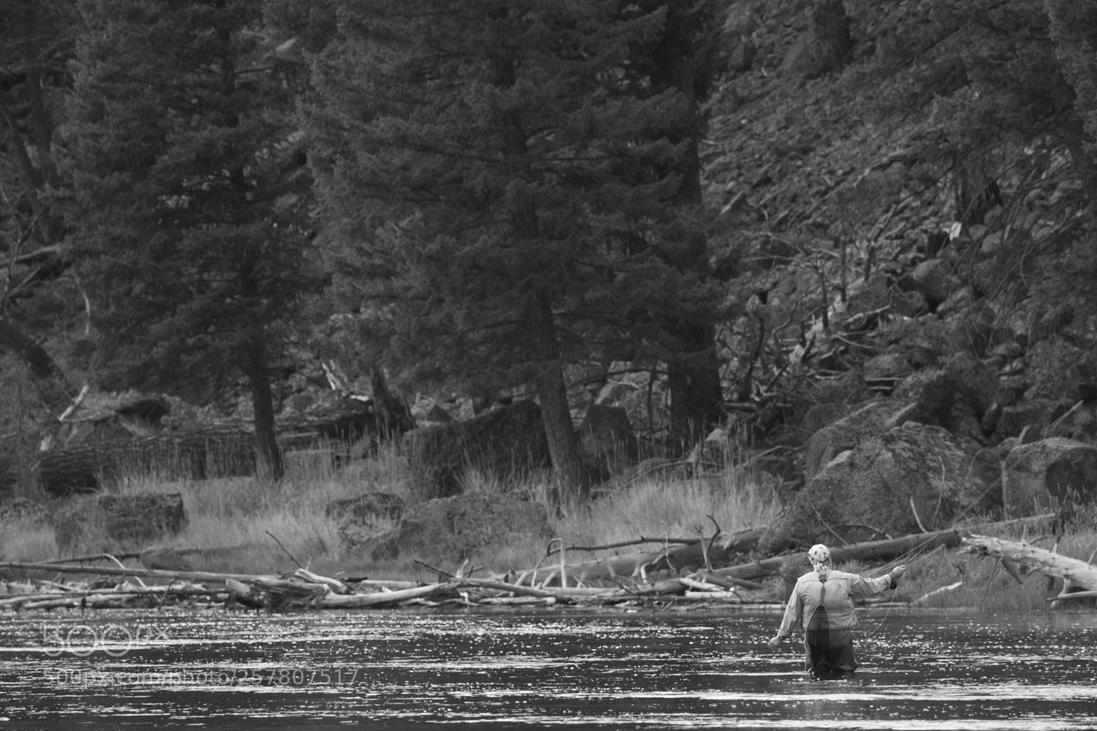 Canon EOS 70D sample photo. Fly fishing in yellowstone photography