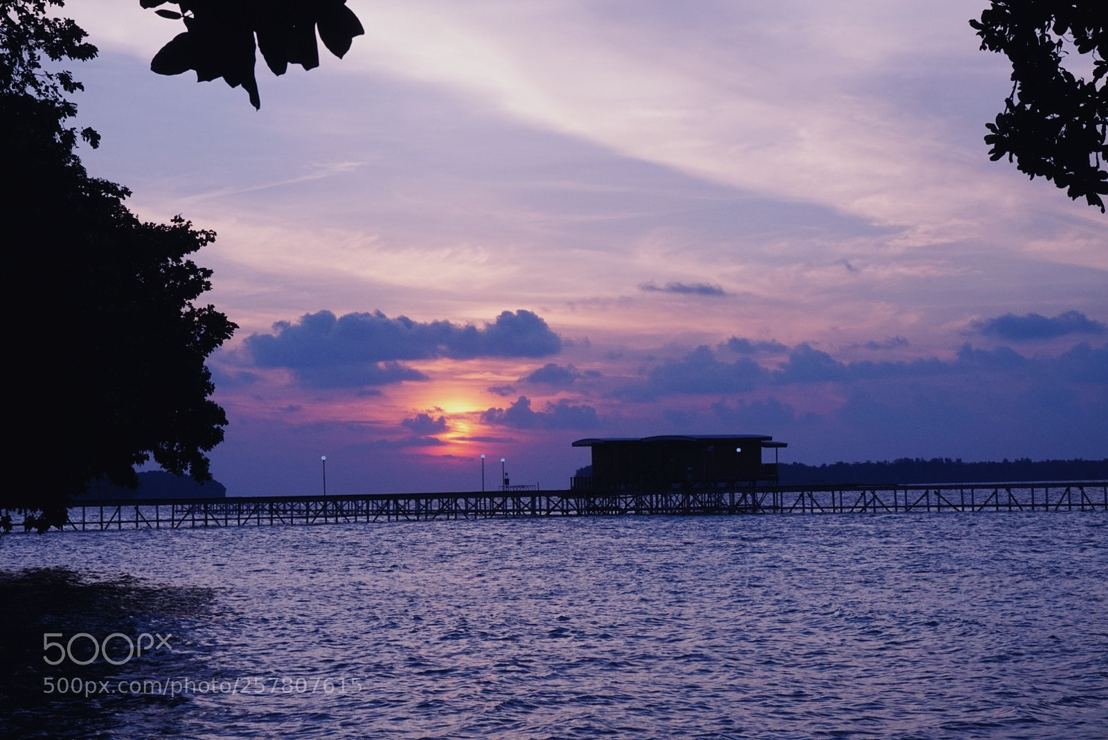 Sony Alpha a5000 (ILCE 5000) sample photo. Purple skies photography