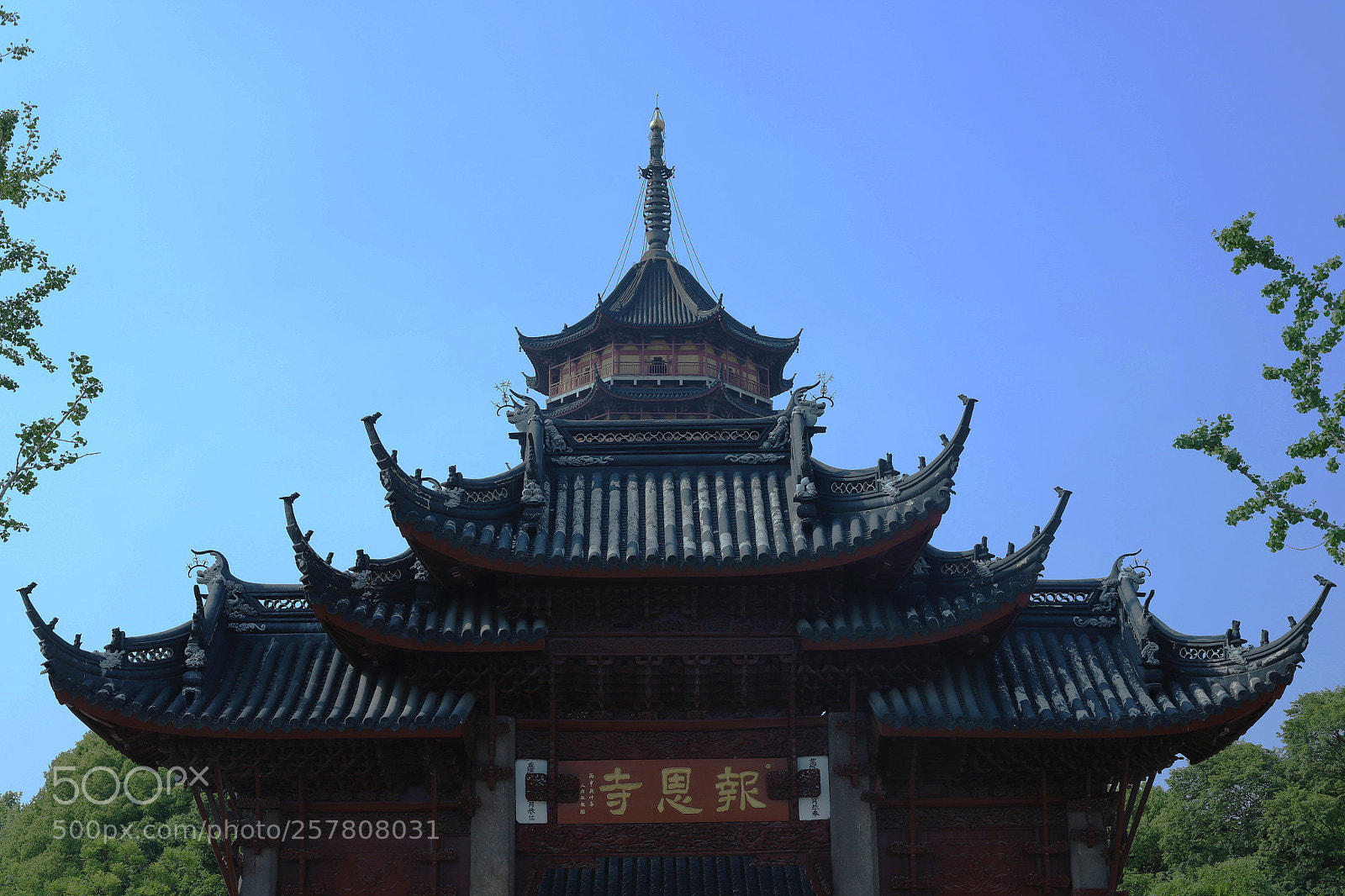 Canon EOS 6D Mark II sample photo. Untitled photography