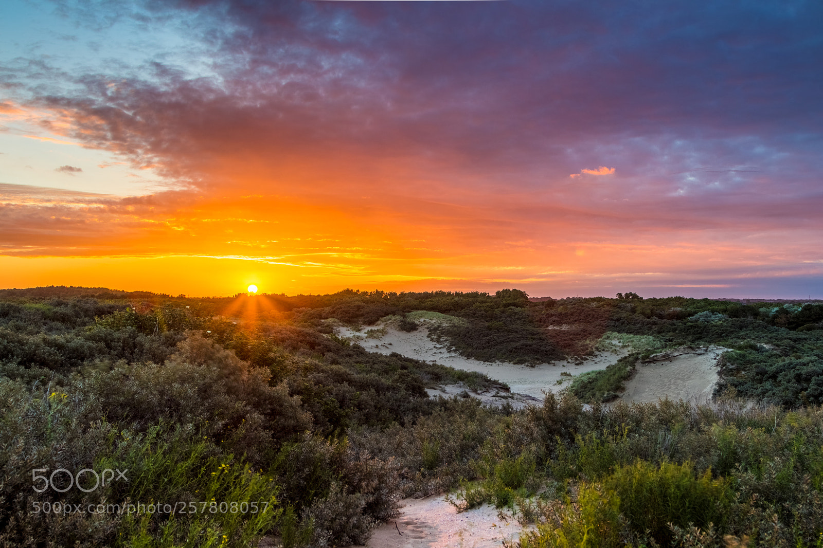 Canon EOS 80D sample photo. Zonsopgang duinen photography