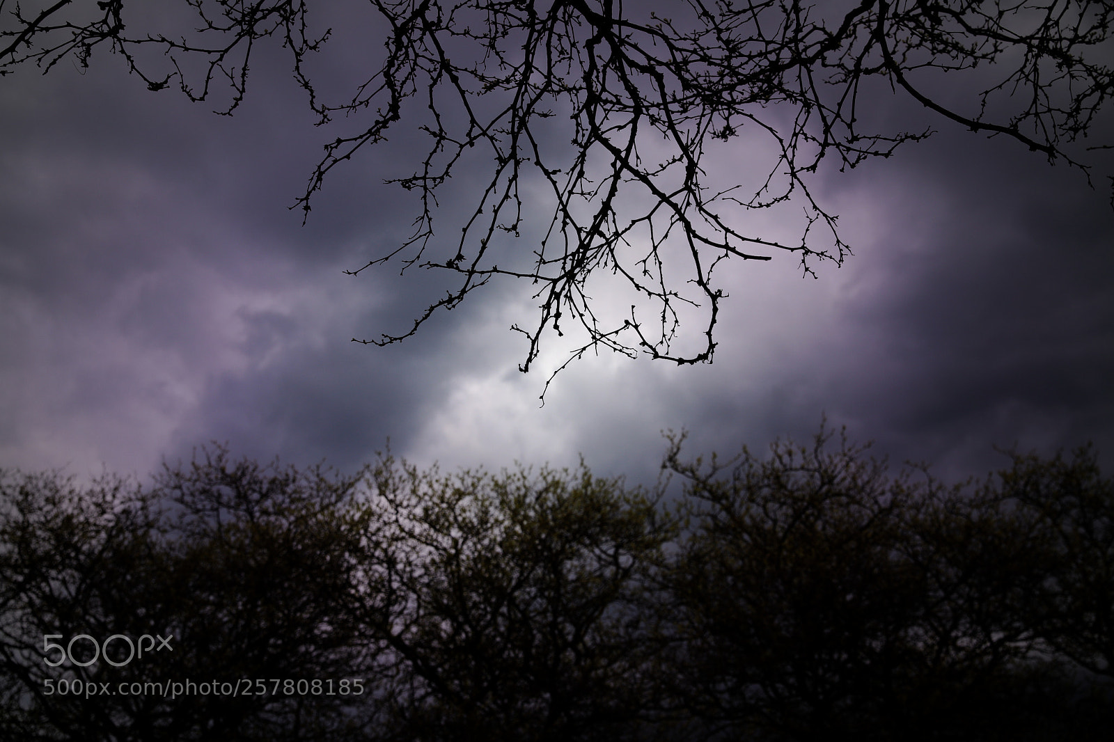 Canon EF 24-70mm F2.8L II USM sample photo. Twilight photography