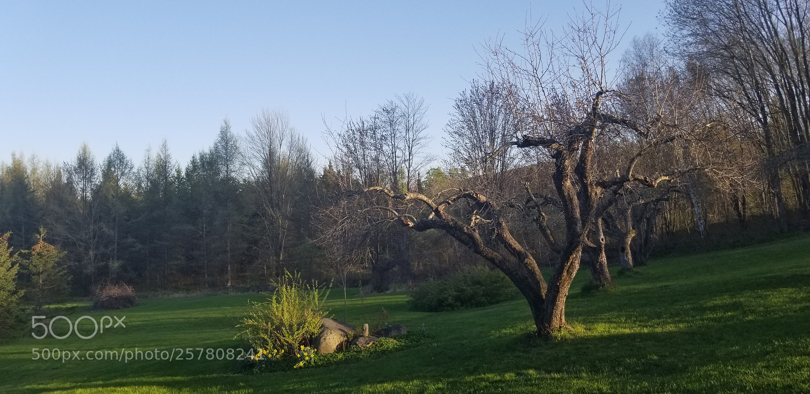 Samsung Galaxy S8 sample photo. Untitled photography