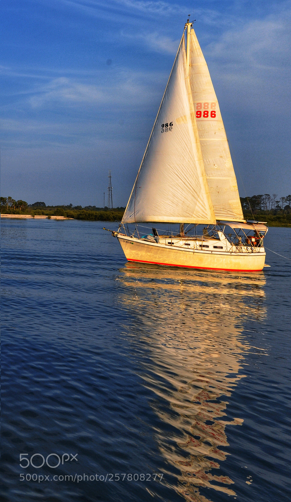 Nikon D90 sample photo. Untitled photography