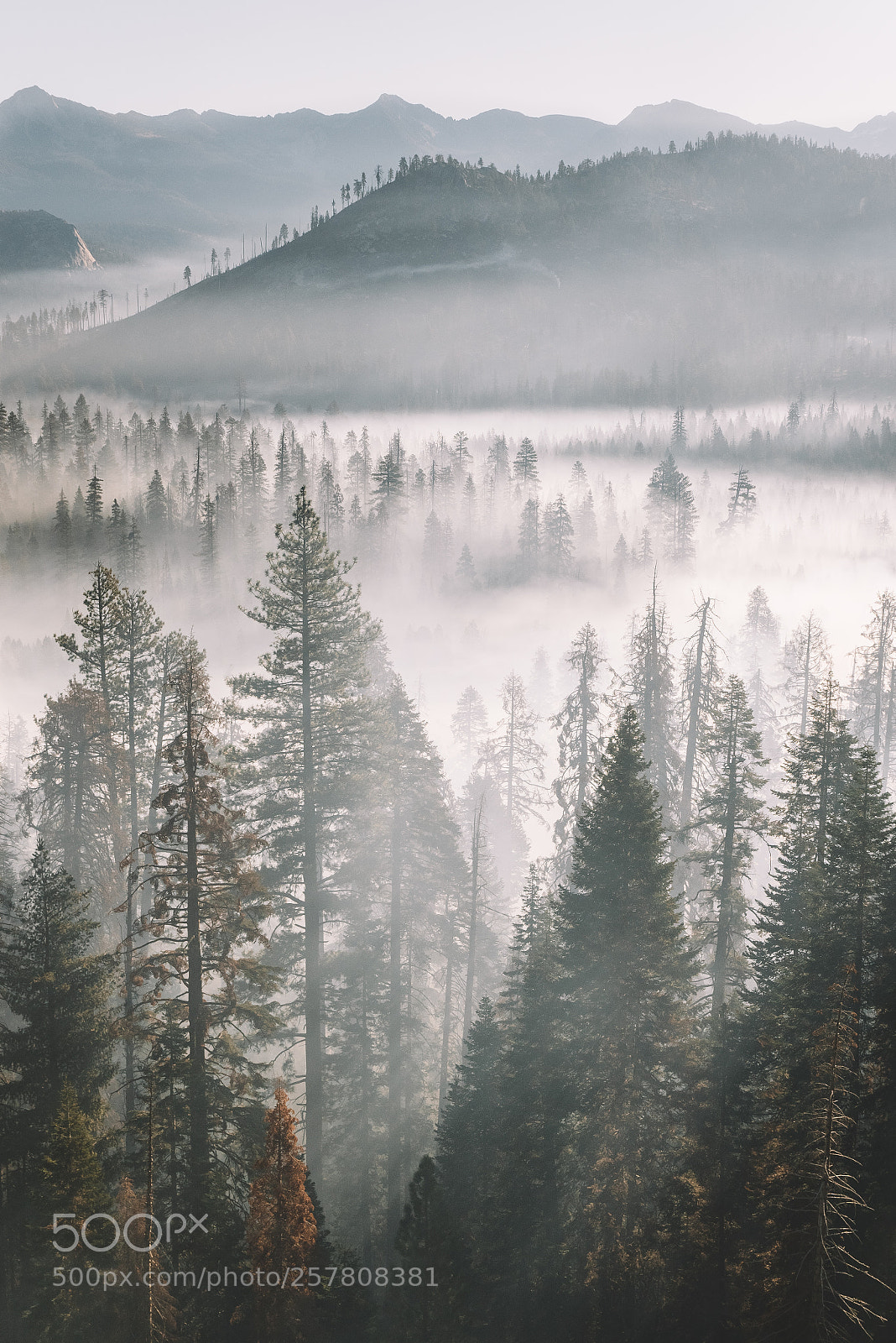 Sony a99 II sample photo. Yosemite valley photography