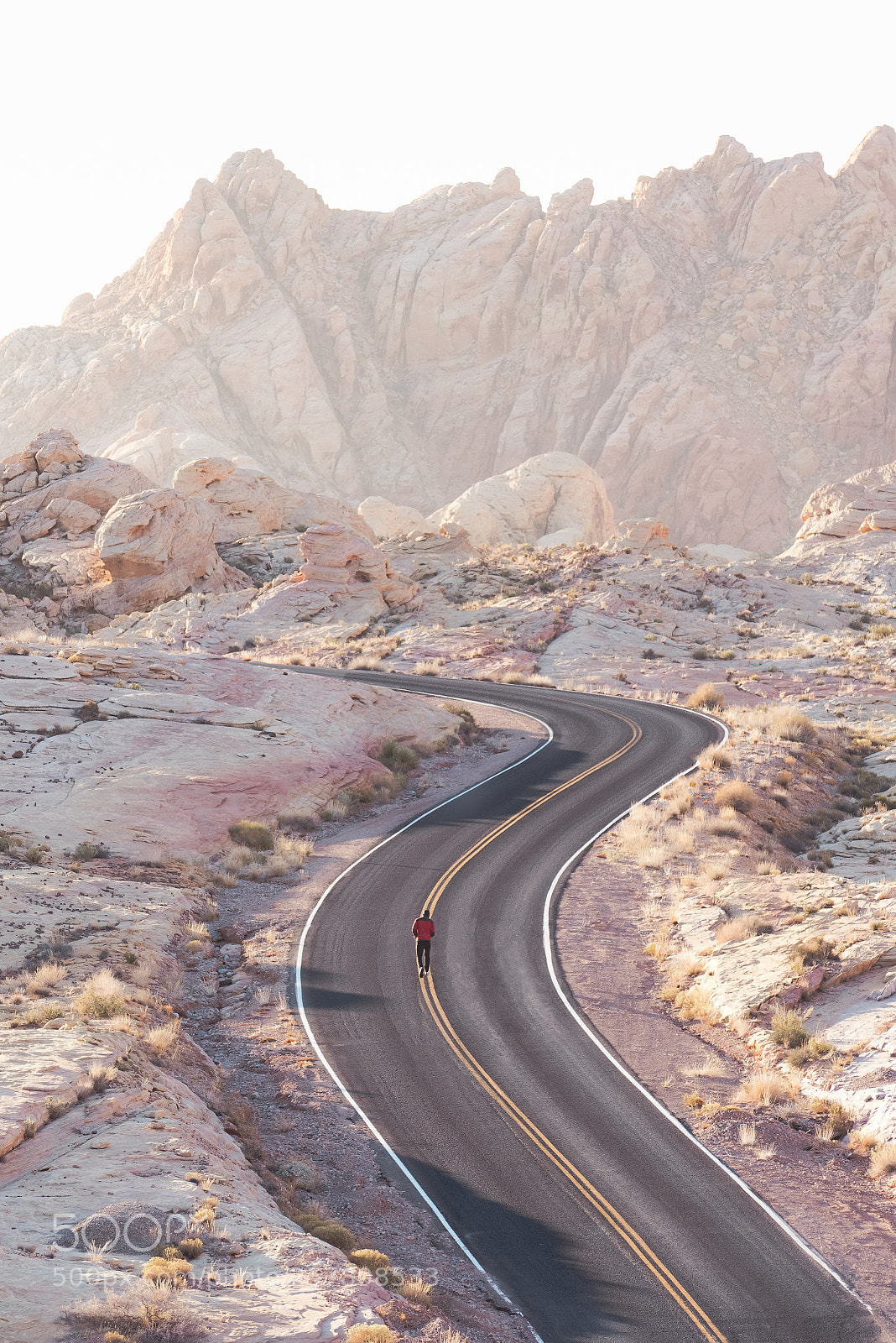 Sony a99 II sample photo. Valley of fire photography