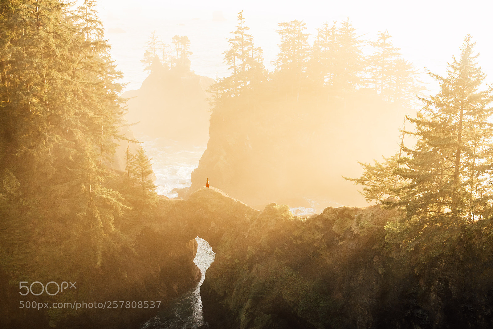 Sony a99 II sample photo. Sunset on the oregon photography