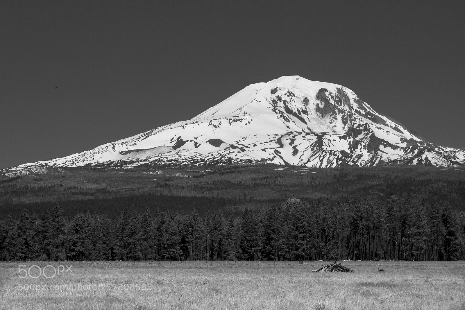 Canon EOS 7D sample photo. Mount adams photography