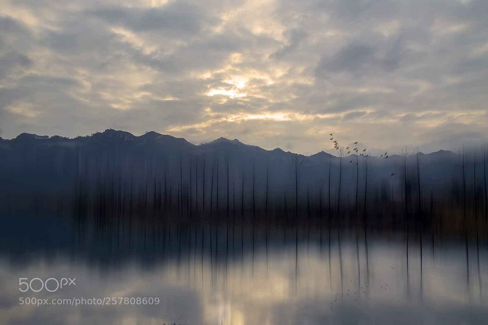 Canon EOS 6D sample photo. Untitled photography