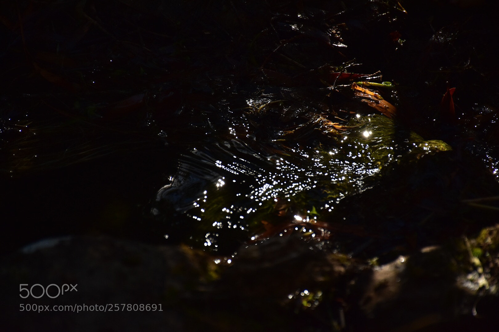 Nikon D3400 sample photo. Dark depths photography