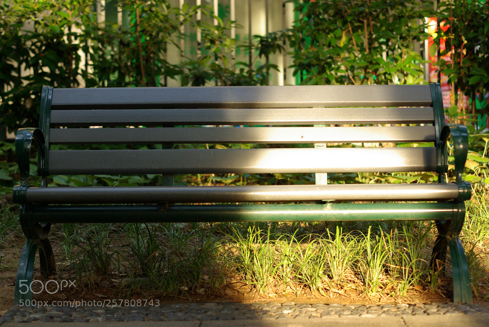 Pentax K10D sample photo. Untitled photography