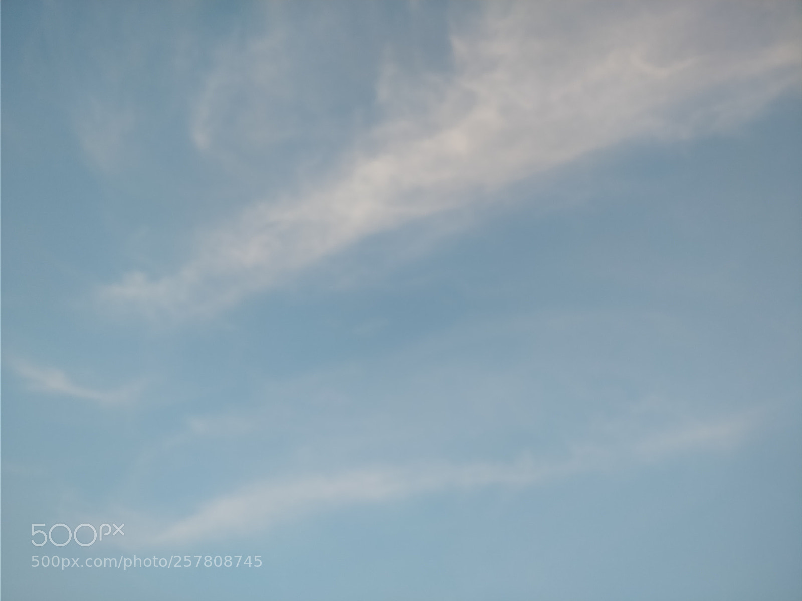 OnePlus 5T sample photo. 2018.05.13 photography