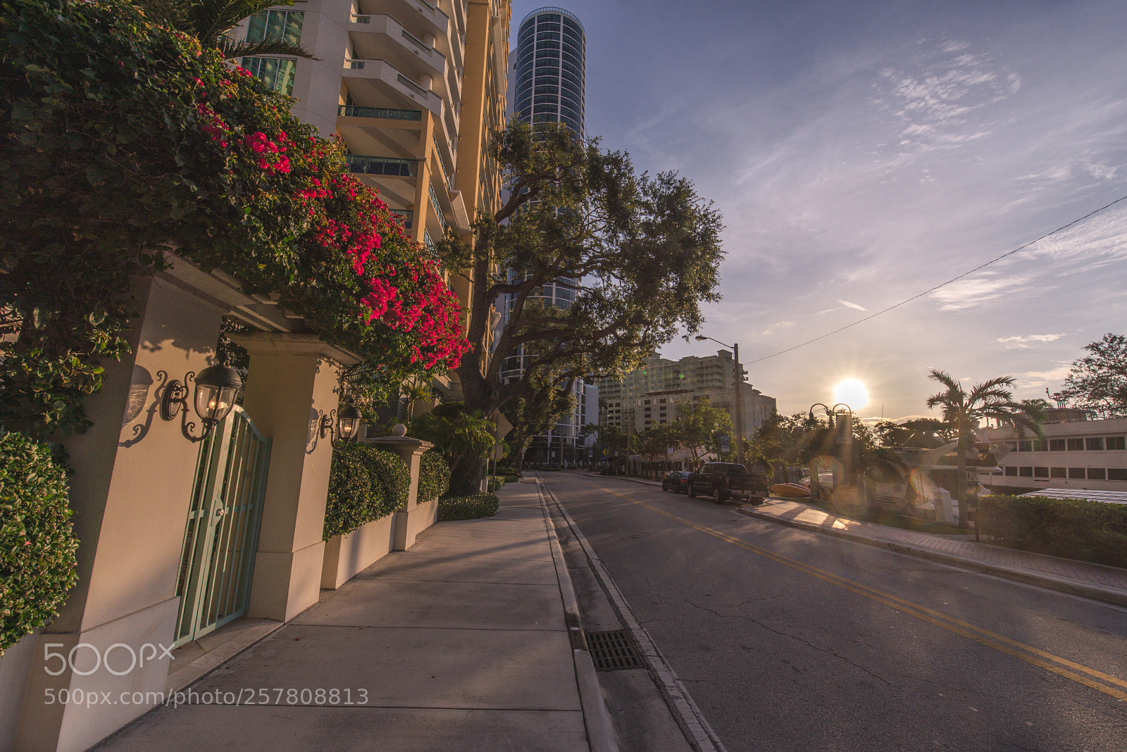 Nikon D610 sample photo. Street flares photography