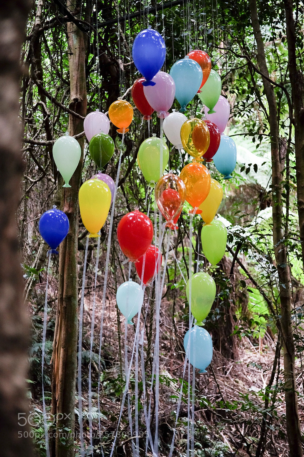 Fujifilm X-T1 sample photo. Balloons photography