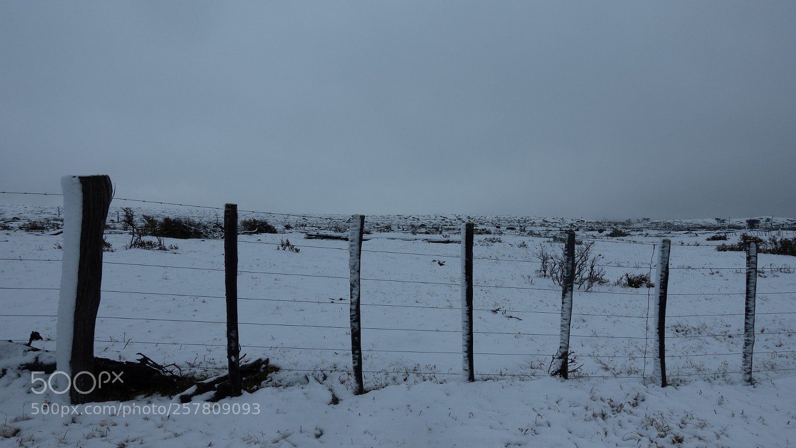 Sony DSC-RX100M5 sample photo. Cerco nevado photography