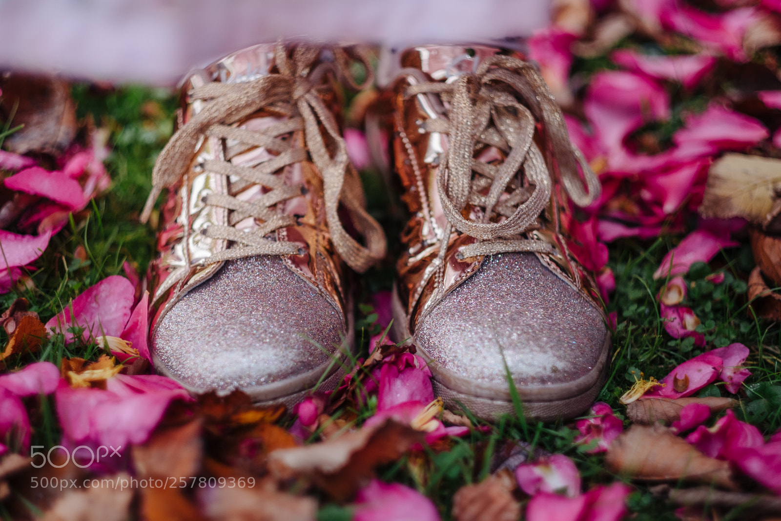 Fujifilm X-T2 sample photo. Pink shoes in autumn photography
