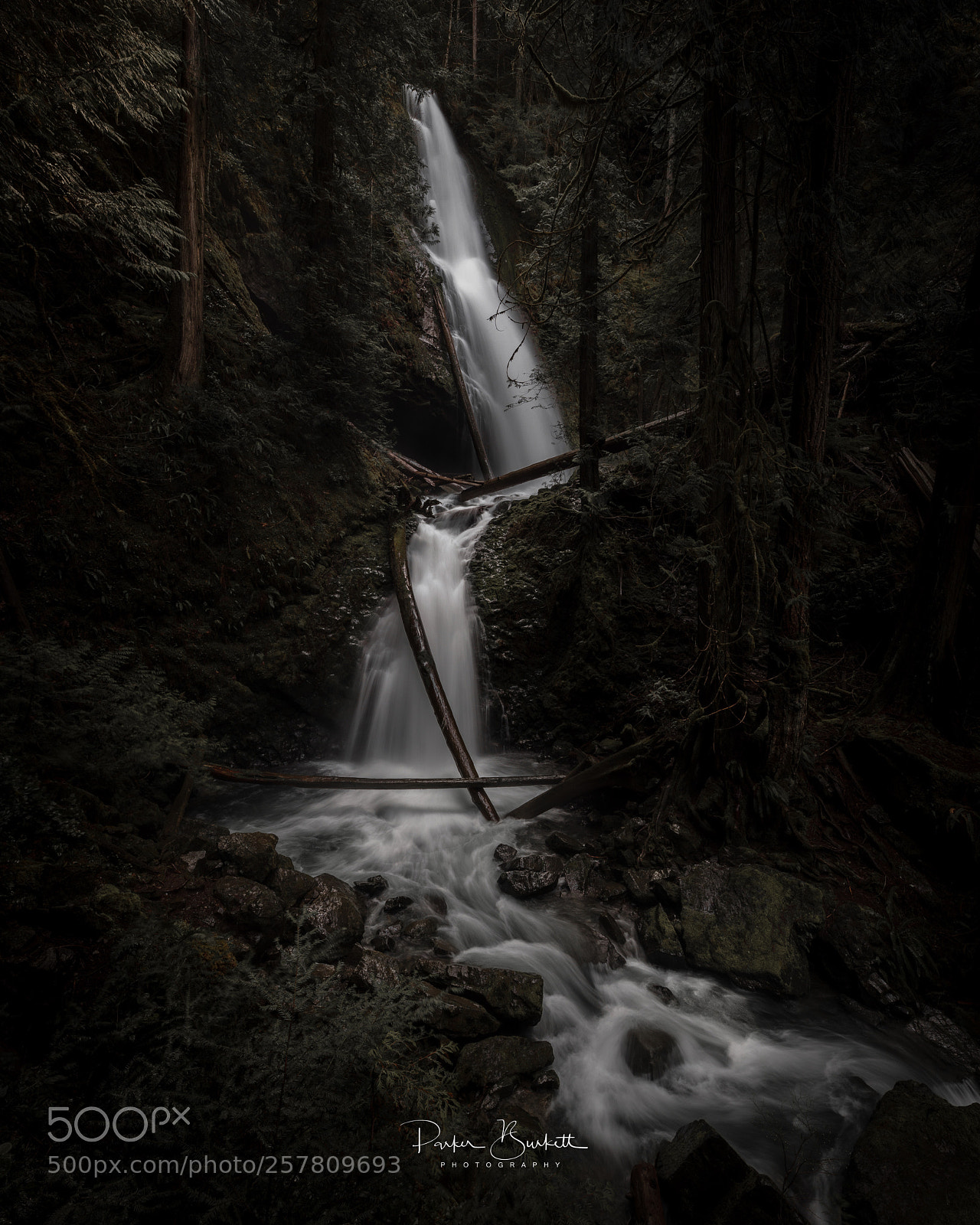 Canon EOS 5DS R sample photo. A way back in..... photography