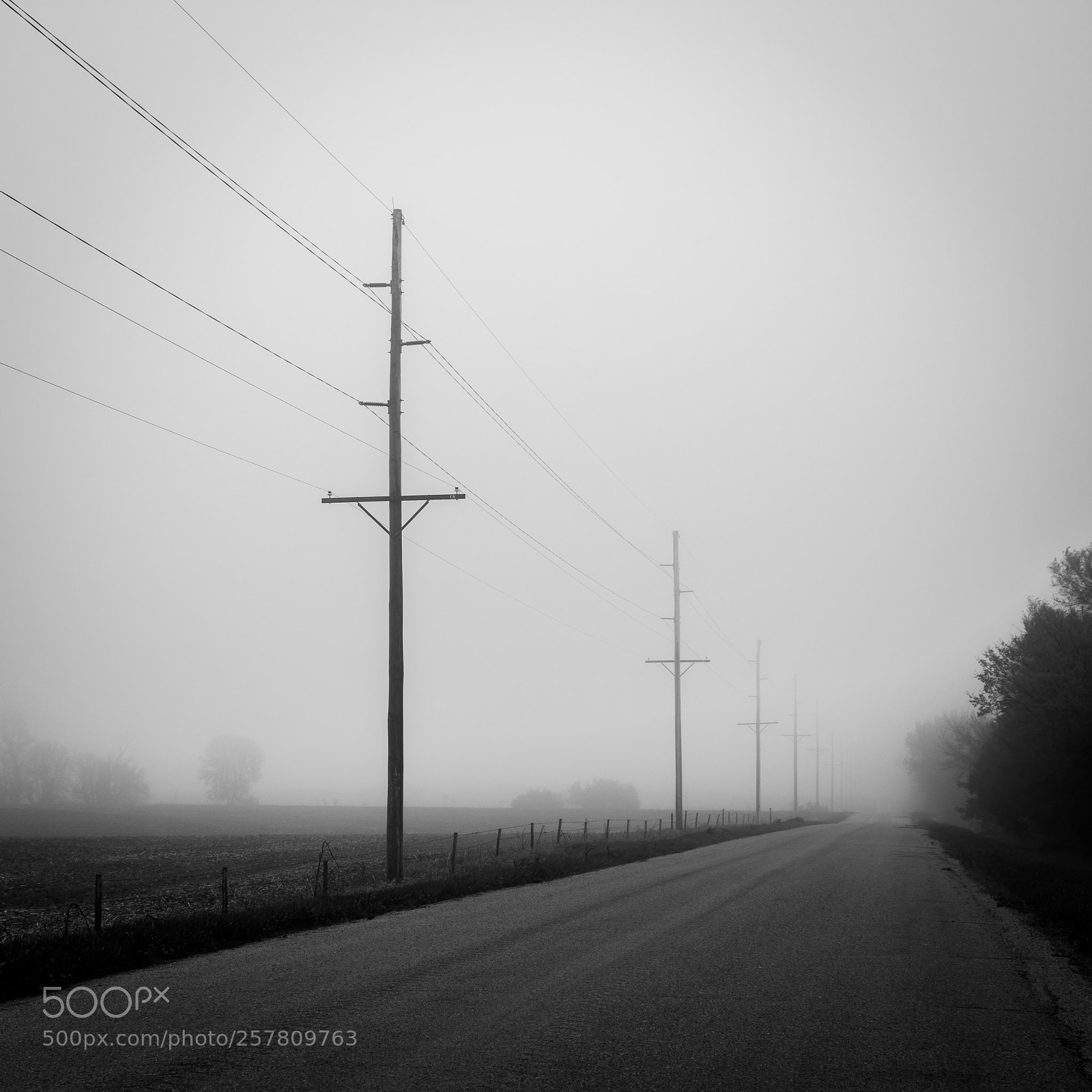 Nikon D7200 sample photo. Fog road photography