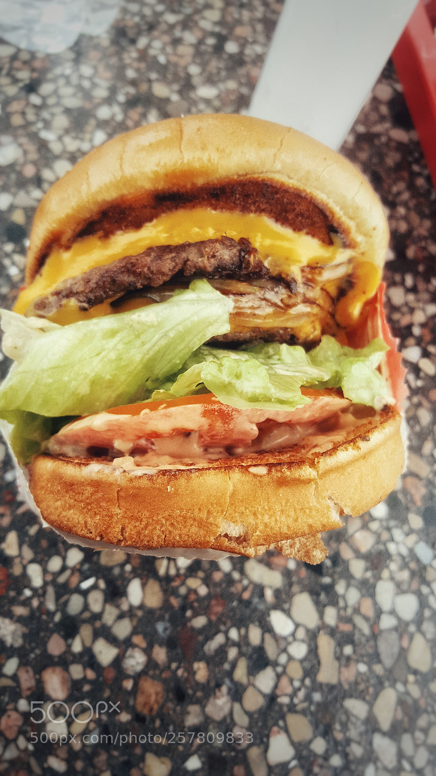 Samsung GALAXY S6 edge sample photo. Untitled photography
