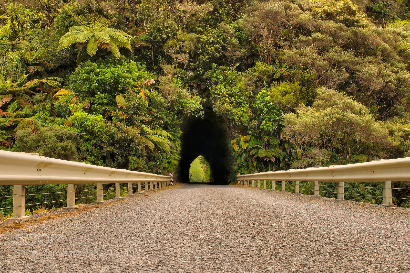 Sony a7R II sample photo. Okau road taranaki photography