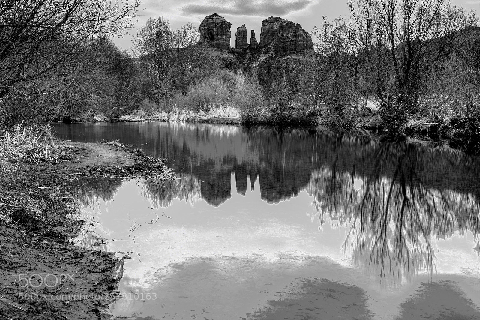 Nikon D850 sample photo. Cathedral rock sedona photography
