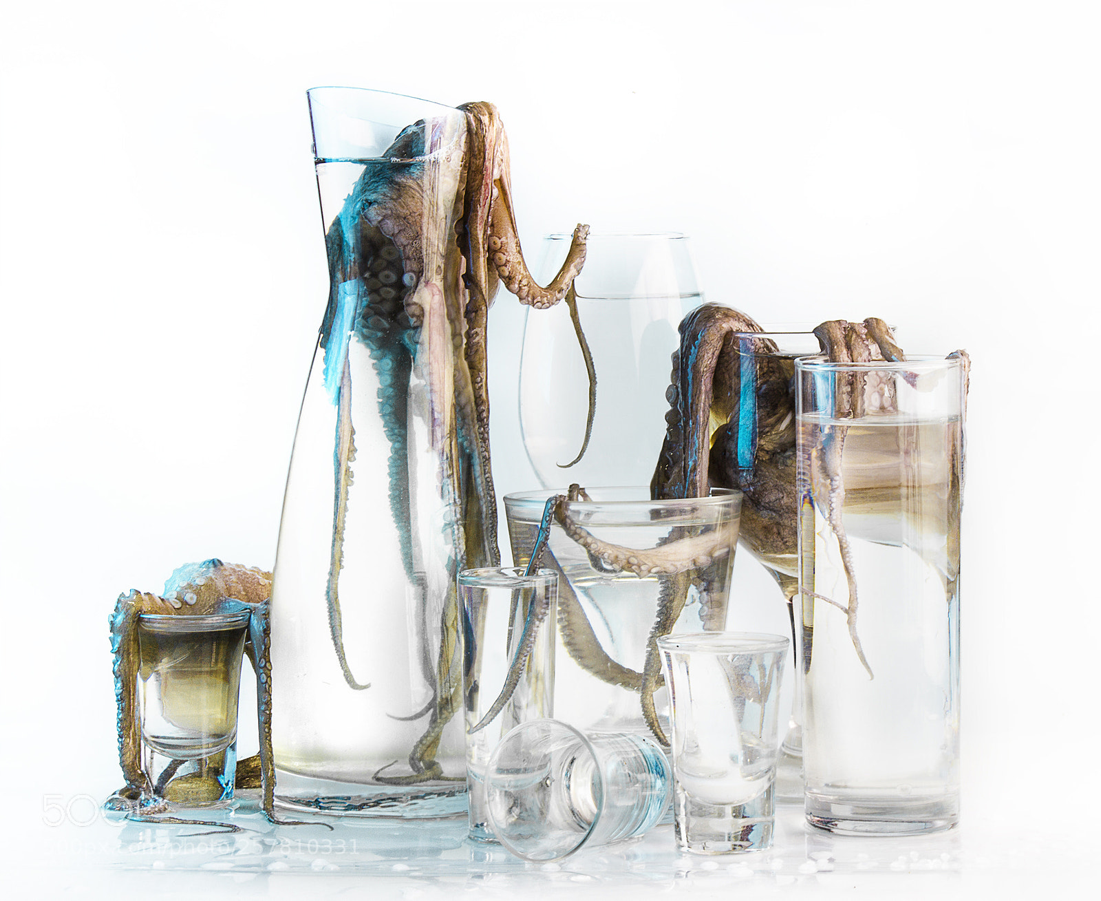 Canon EOS 600D (Rebel EOS T3i / EOS Kiss X5) sample photo. Octopus and glass photography