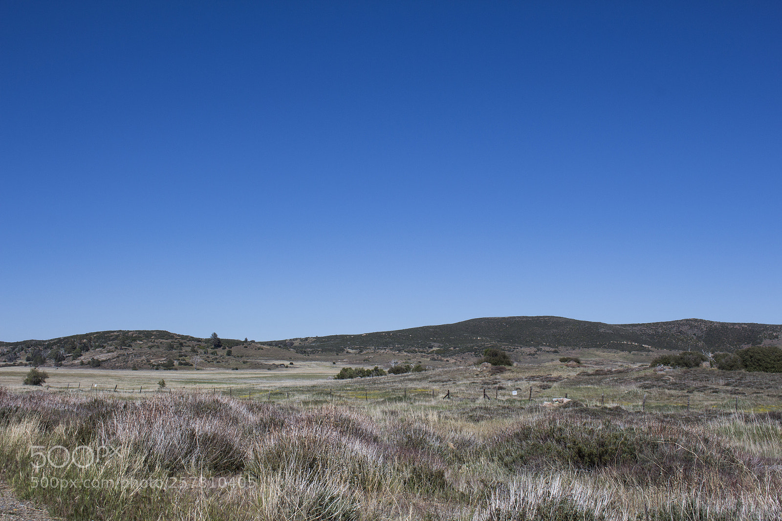 Canon EOS 700D (EOS Rebel T5i / EOS Kiss X7i) sample photo. Img photography