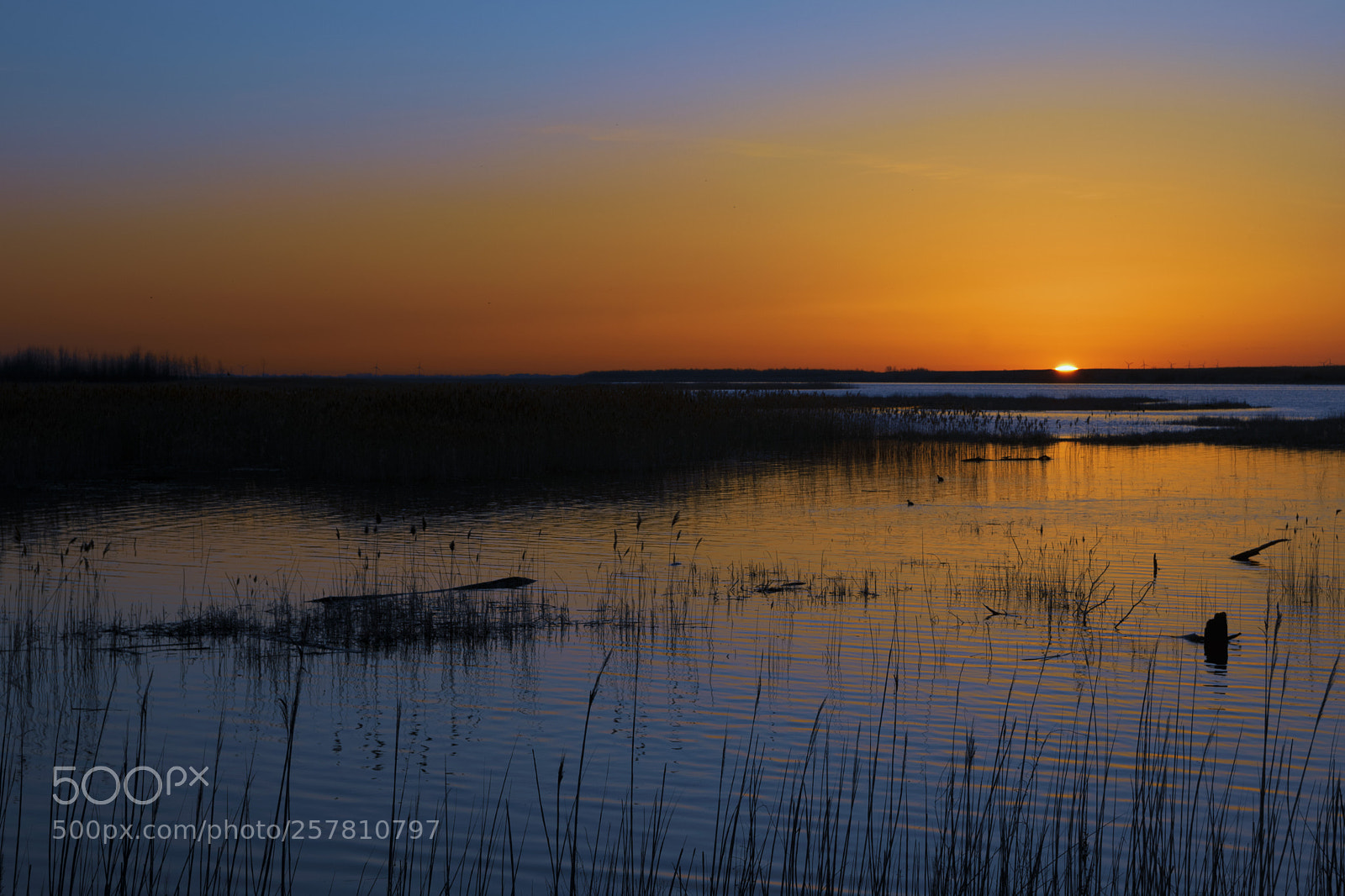 Nikon D3300 sample photo. Sunrise over lake erie photography