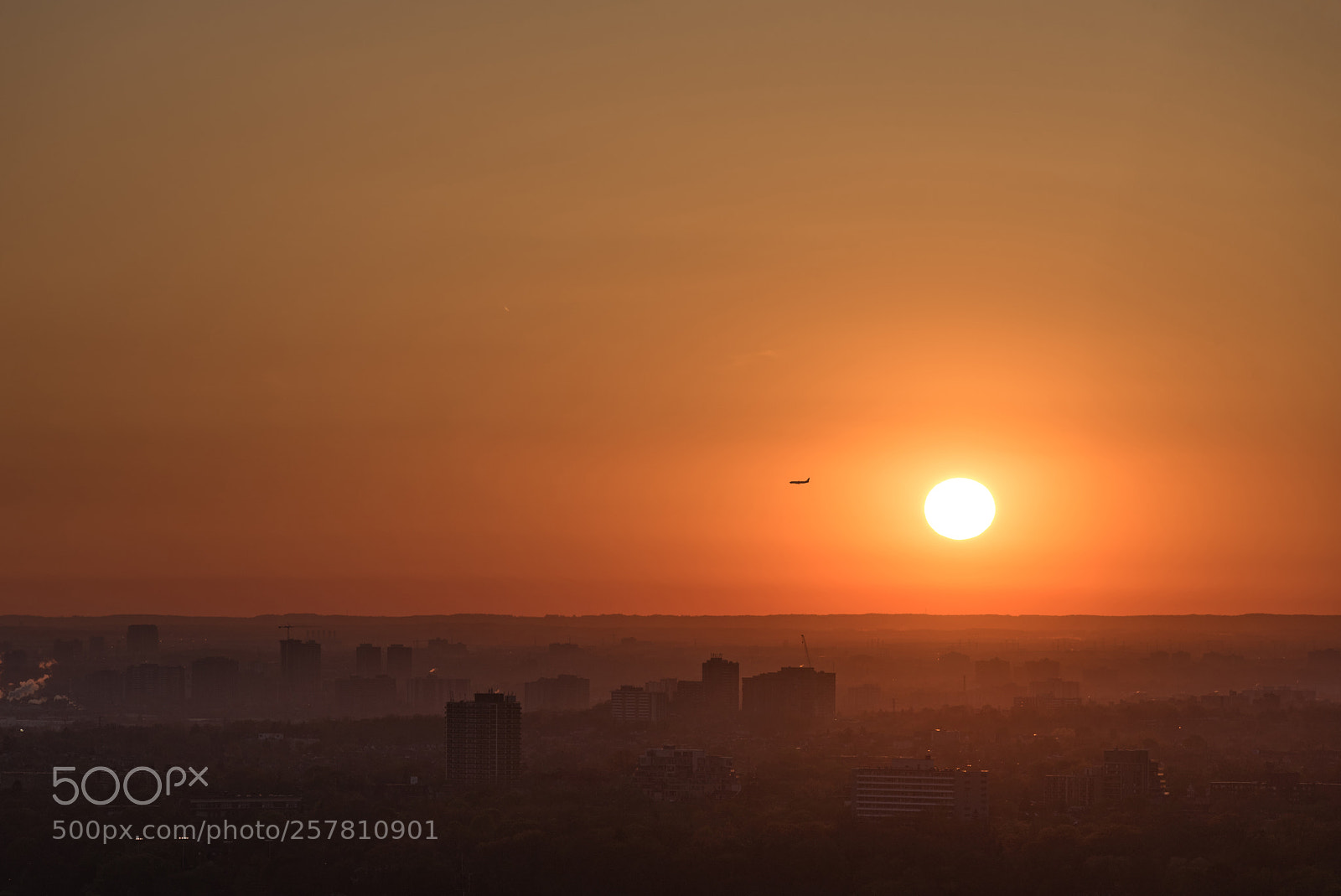 Nikon D750 sample photo. Going home photography