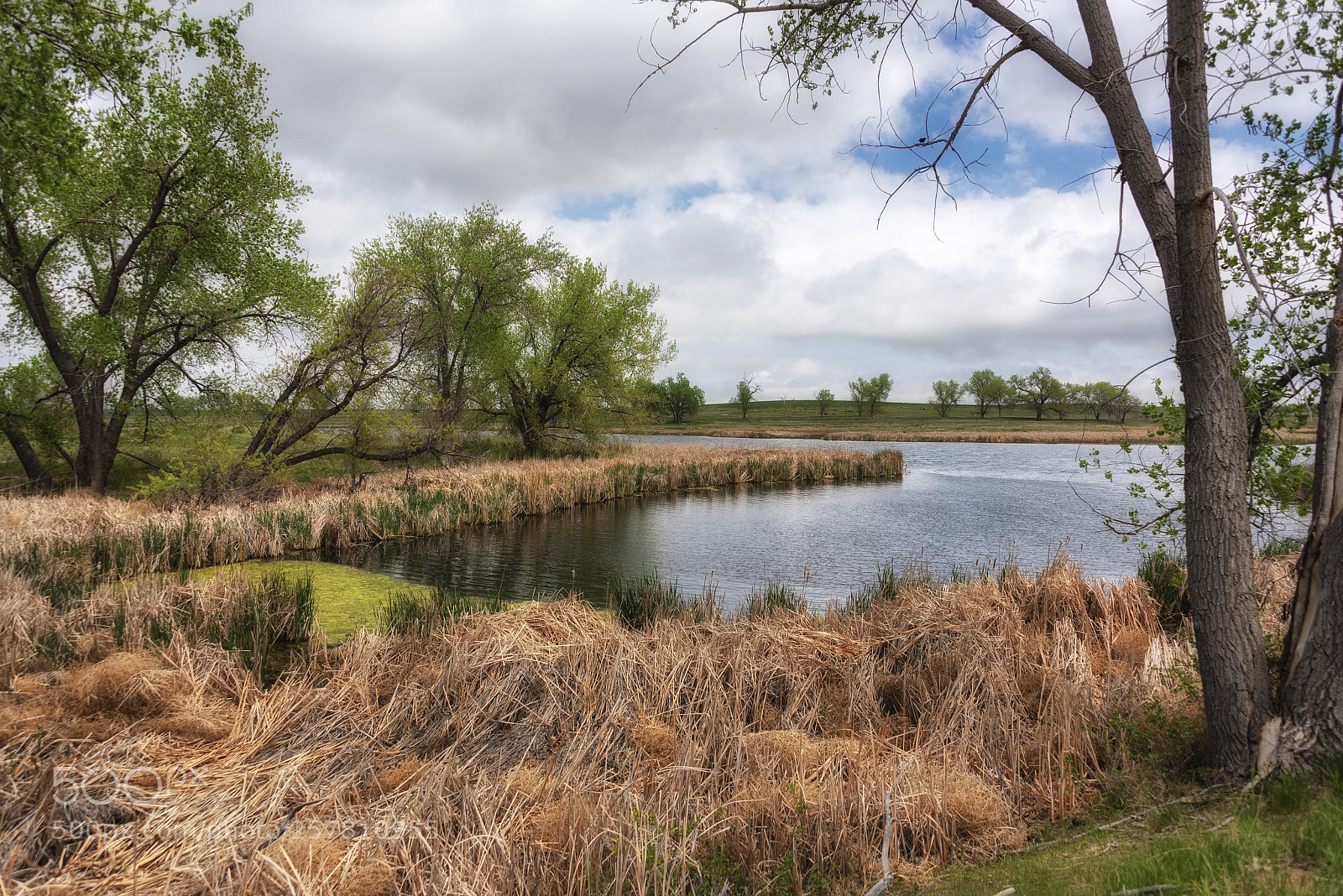 Nikon D750 sample photo. Lazy afternoon photography
