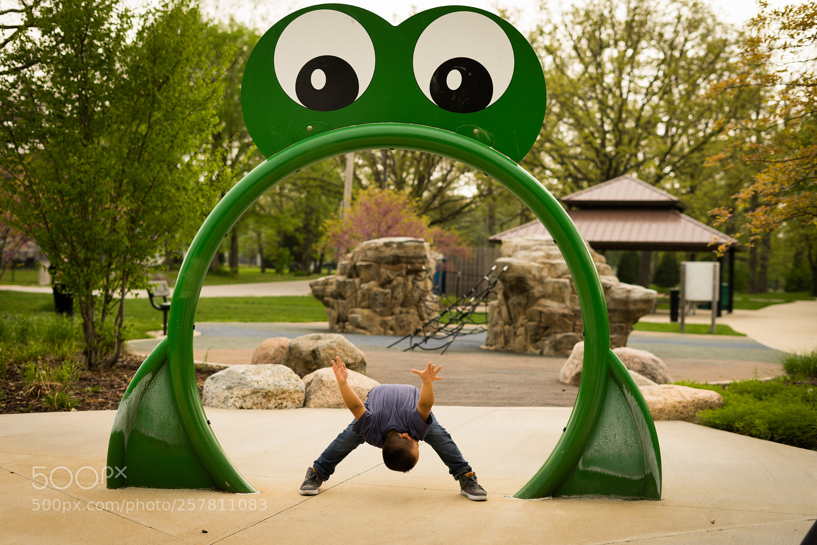 Sony a7 sample photo. Frog photography