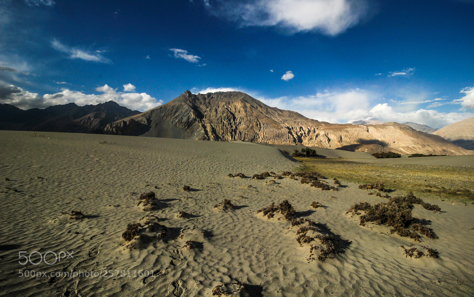 Canon EOS 600D (Rebel EOS T3i / EOS Kiss X5) sample photo. Cold desert photography