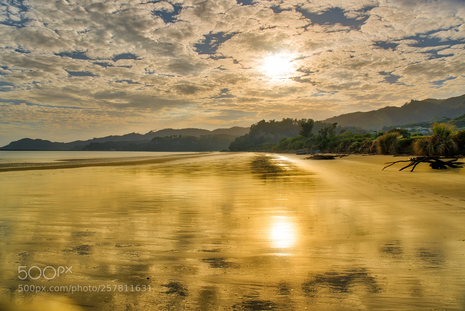 Sony a7R II sample photo. The golden sand of photography
