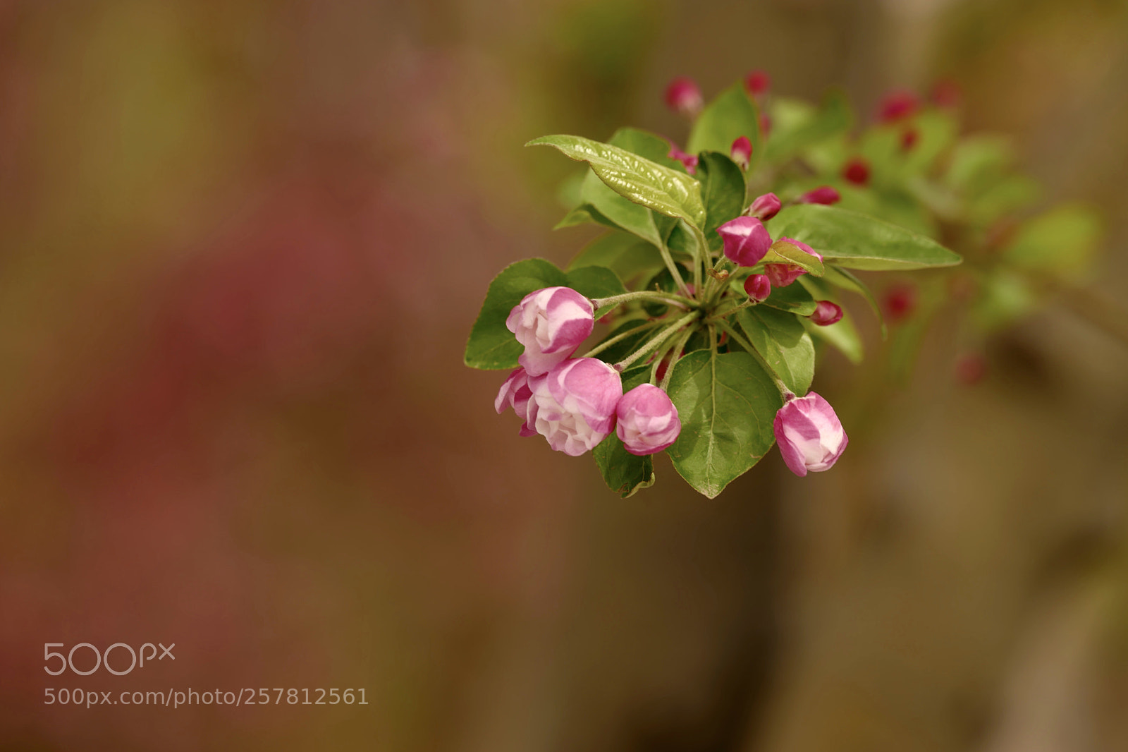 Leica SL (Typ 601) sample photo. Untitled photography