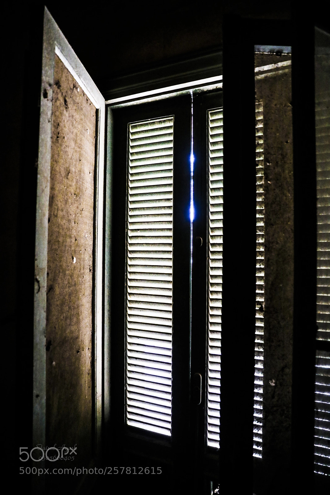 Canon EOS 5D Mark IV sample photo. Untitled photography