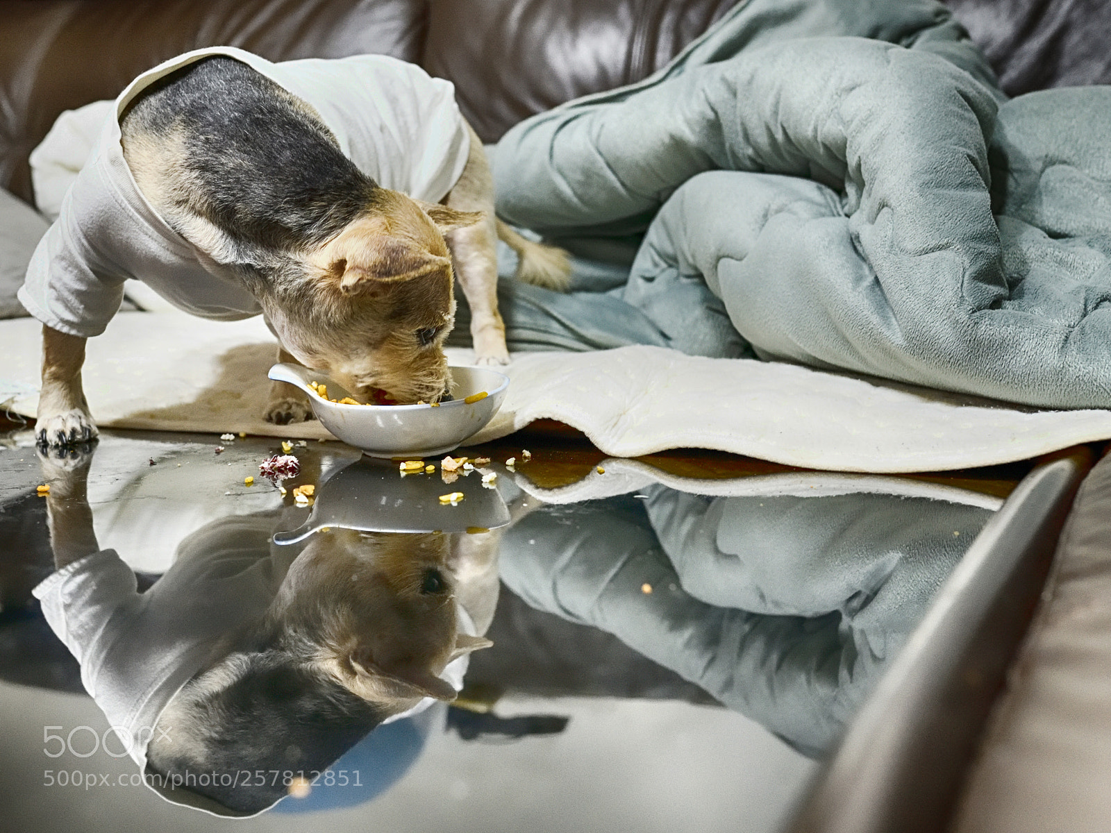 Nikon D850 sample photo. 850_1235_00001.jpg photography
