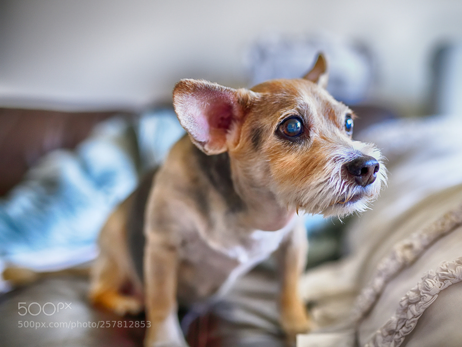 Nikon D850 sample photo. 850_1321_00001.jpg photography