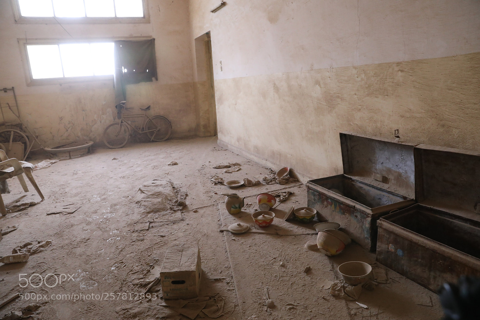 Canon EF 24-70mm F2.8L II USM sample photo. Untitled photography
