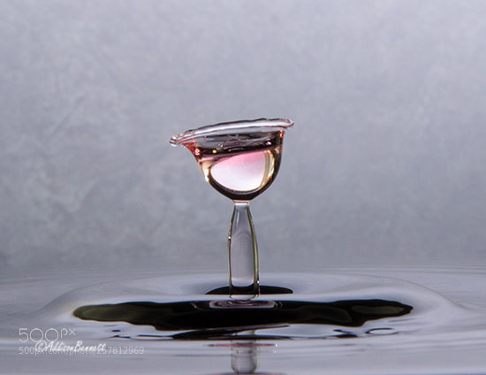 Canon EOS 7D Mark II sample photo. Wine photography